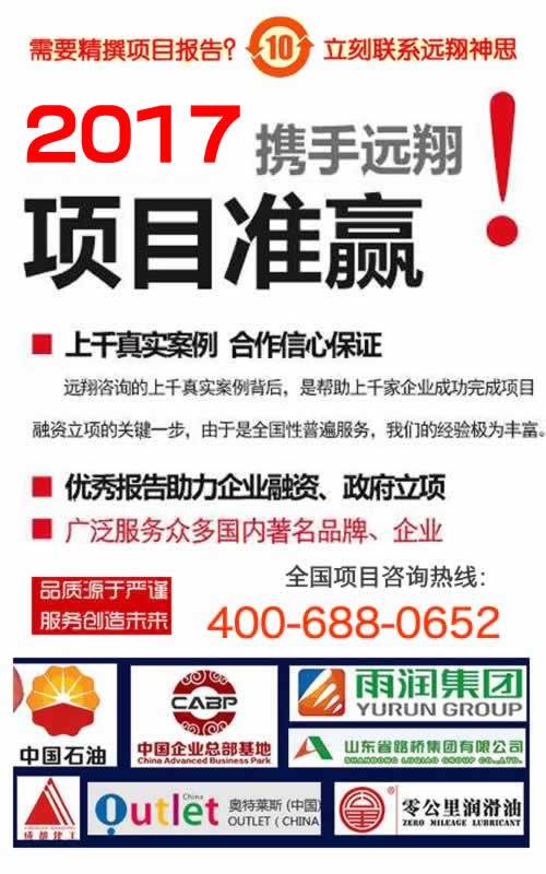 天津商業計劃書標準案例 進口果蔬混合飲品項目