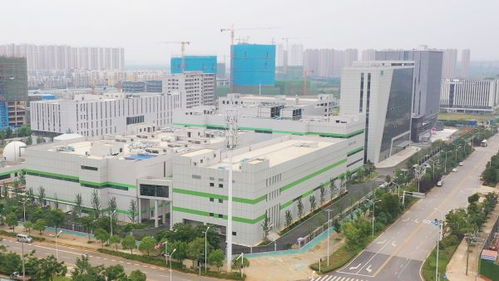 武漢新城 上新 禾元生物智能制造工廠, 稻米造血 進入商業(yè)化階段