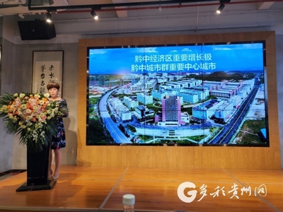 “匯聚優質資源·助推貴州發展”京晉豫粵港企業家走進貴州對接交流會在貴陽成功舉辦