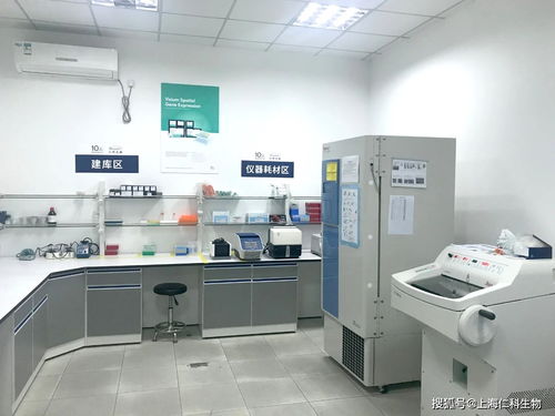 金牌是第一名,但不是終點