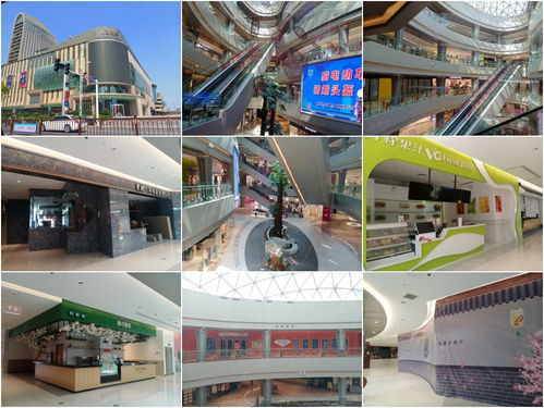 西區地標京華城 真的需要擴建商業版圖嗎